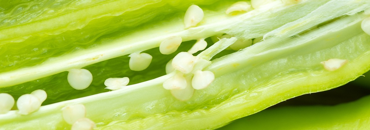 kaliteli sebze üretiminde temiz tohum kullanılmalı