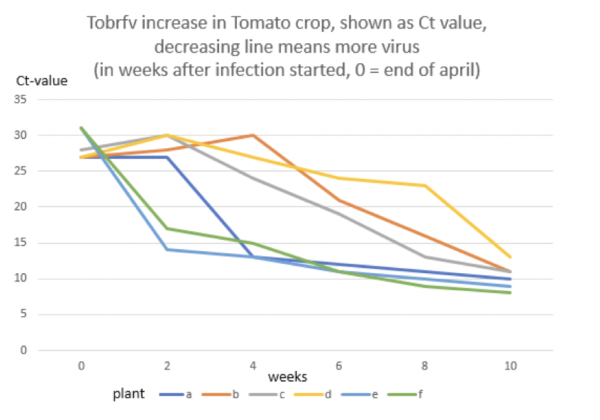 virus spread tobrfv