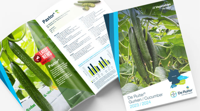 Brochure Cucumbers