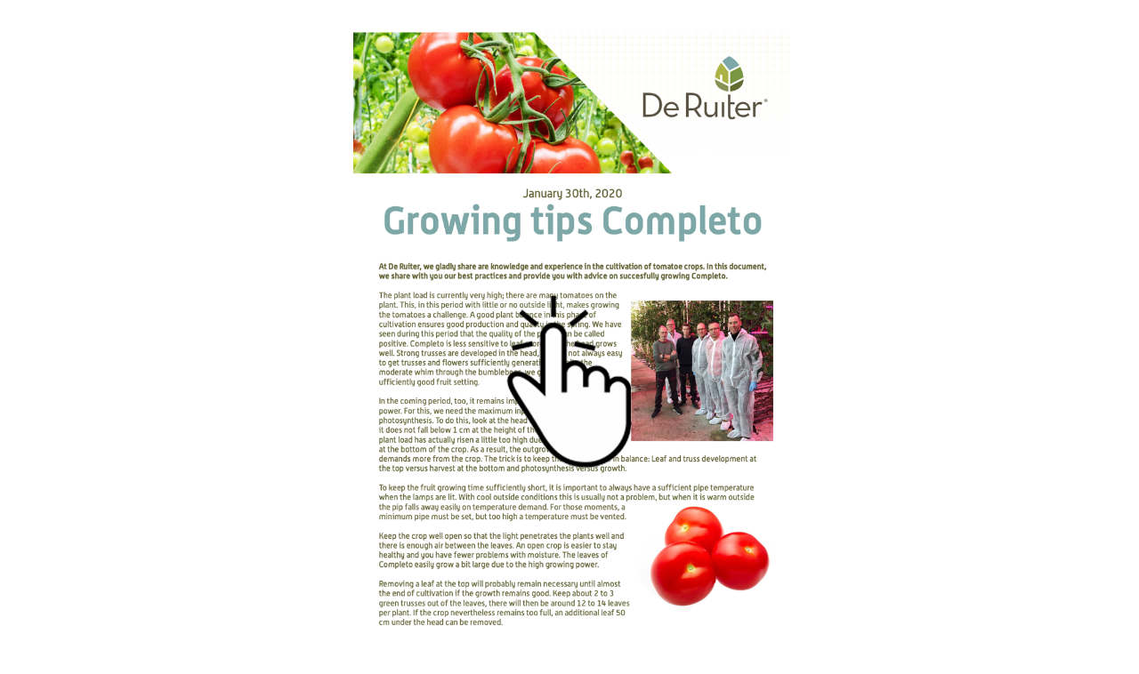 January completo growing tips