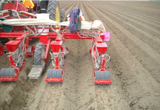Figura 2. Siembra de zanahorias en camas con una sembradora de vacío con 3 líneas de siembra por cama.
