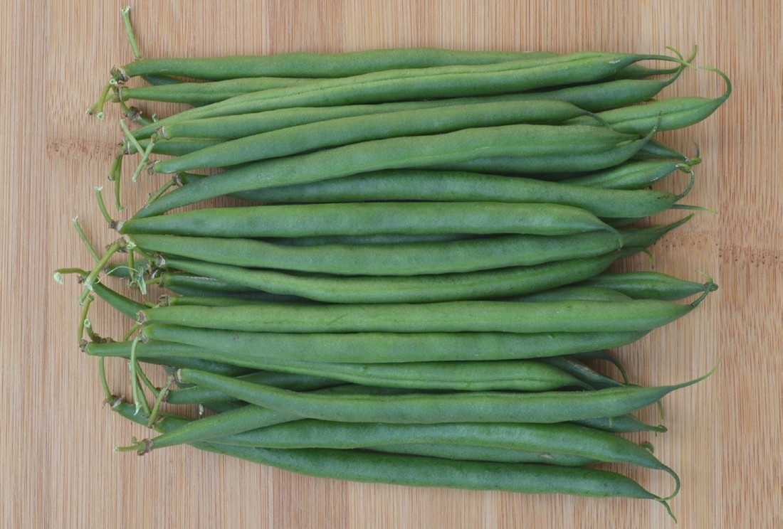 Figura 2. Vainas lisas y uniformes en longitud y diámetro.