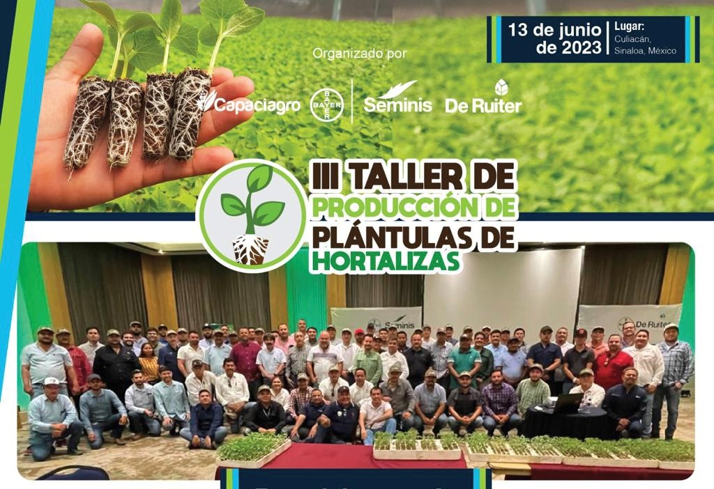 Taller plantulas