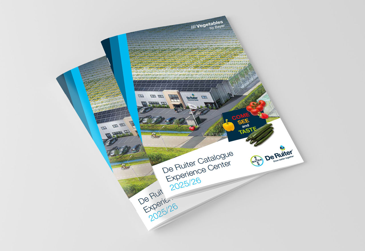 DEC brochure