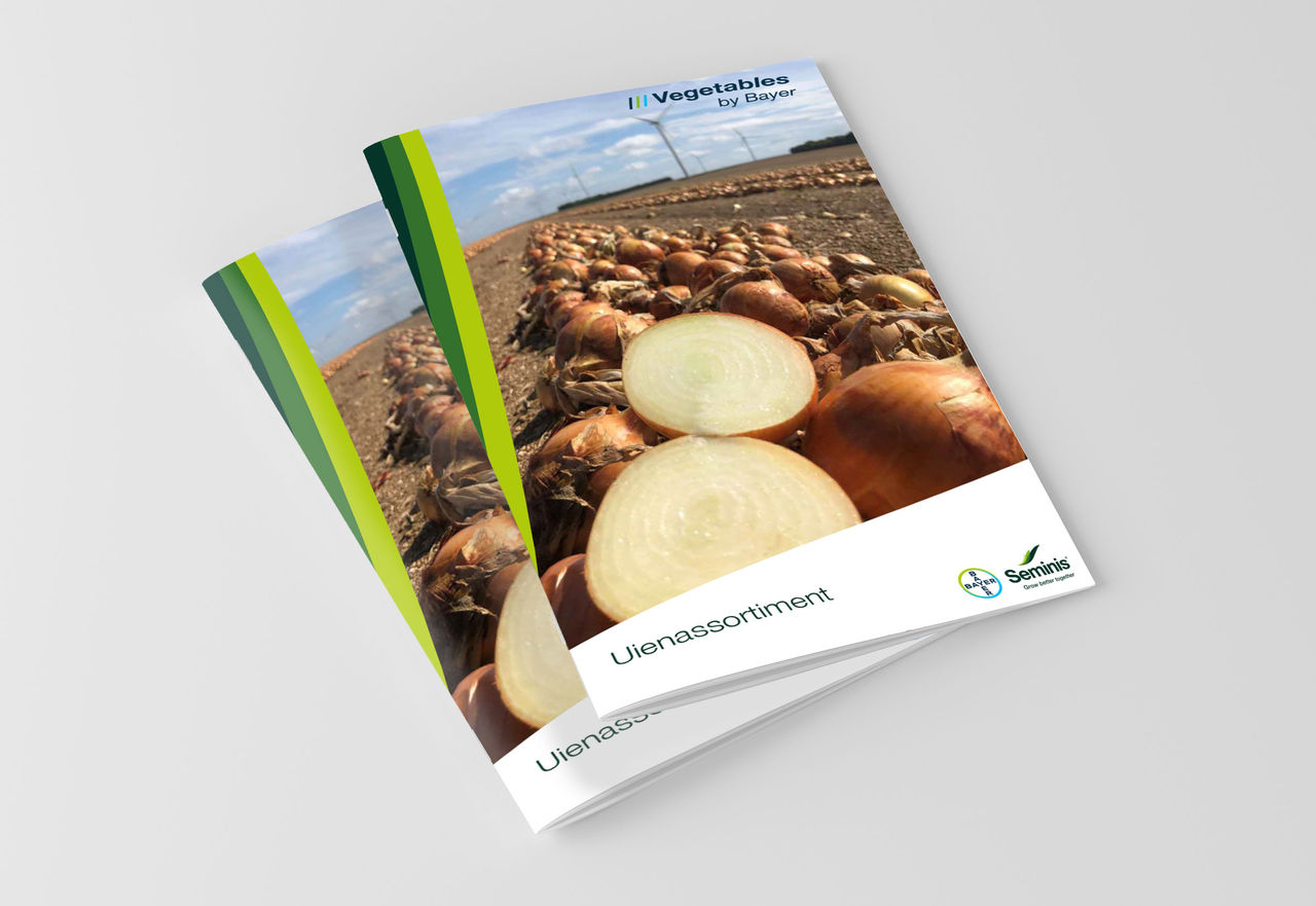 Uien brochure