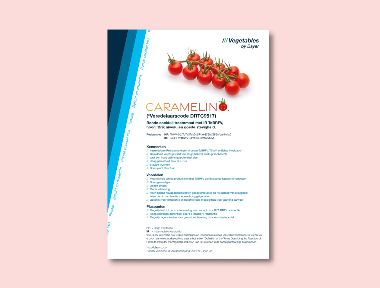 Caramelino leaflet