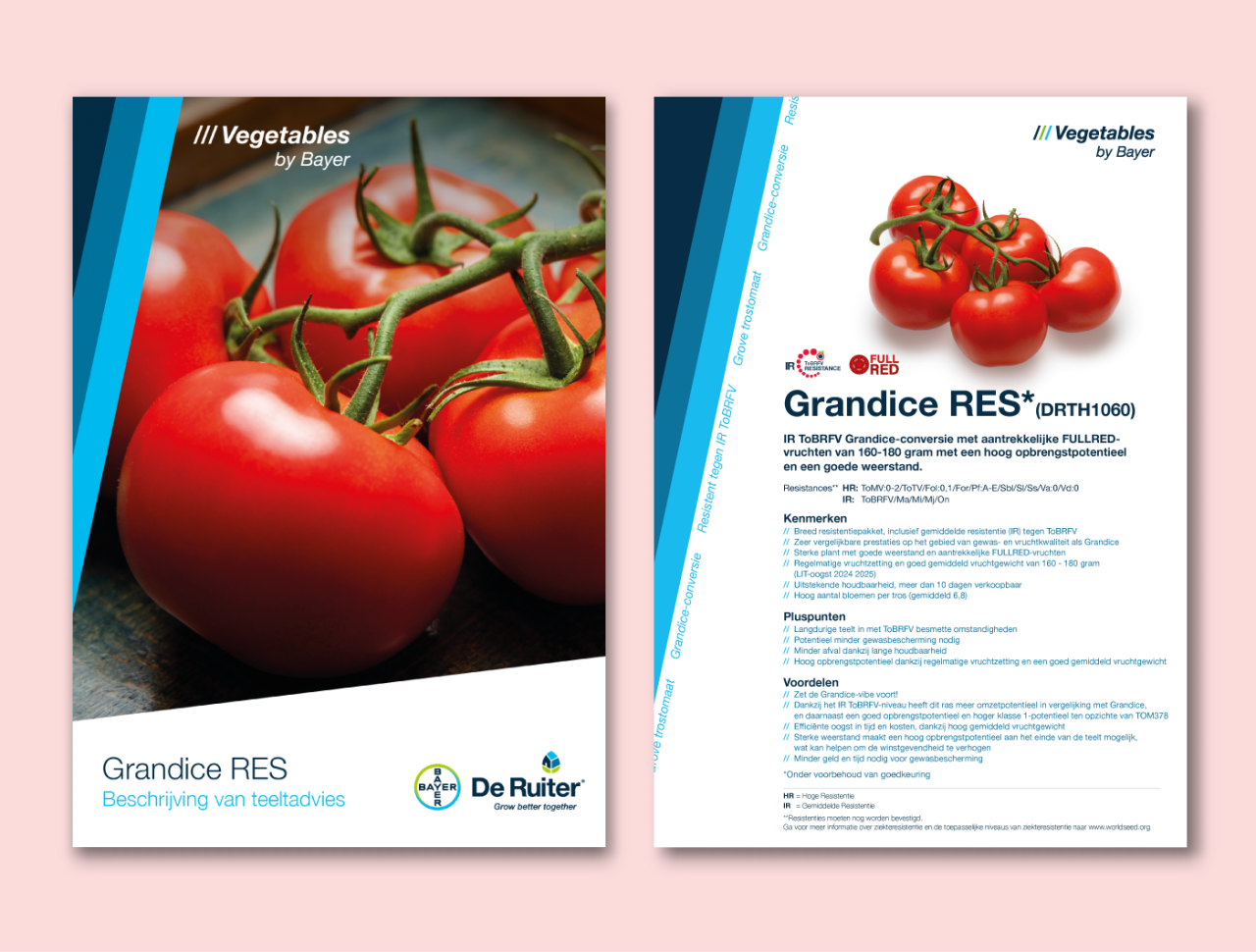 Luminity leaflet