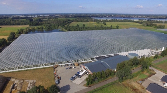 Van Gog Kwekerijen, locatie Asten