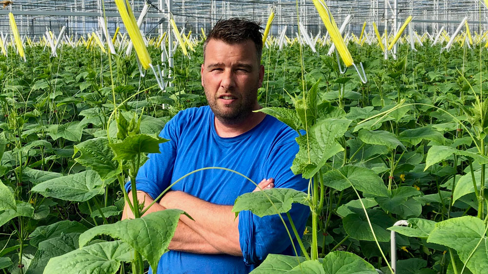 Peter van Ninhuys, teler bij Van Lipzig Tuinderijen
