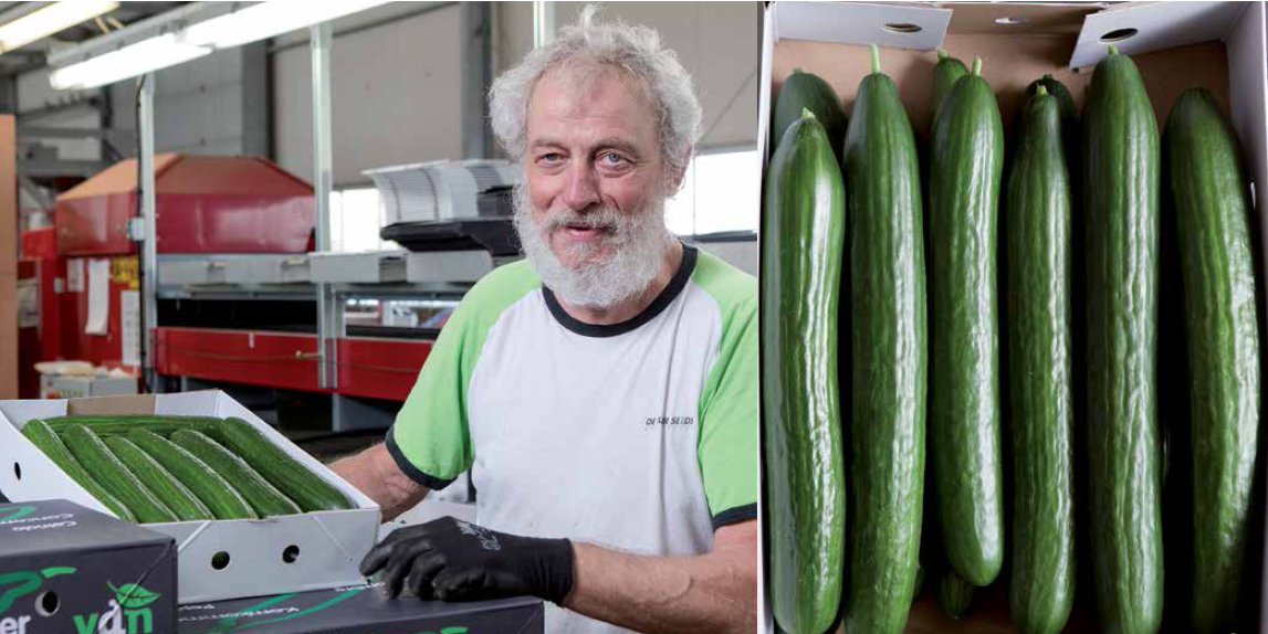 Teler Han van der Helm