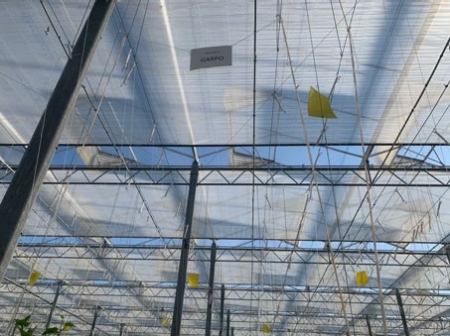 Schermen was de afgelopen tijd met hoge instraling nog nodig.