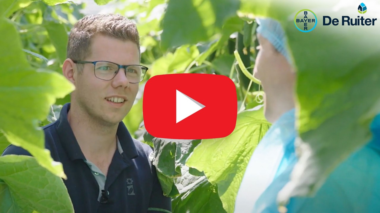 Volg John op zijn virtuele bezoek aan De Ruiter kassen