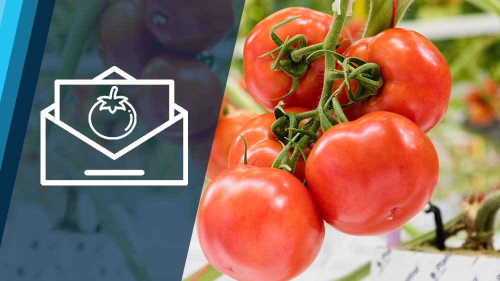 Aanmelden nieuwsbrief