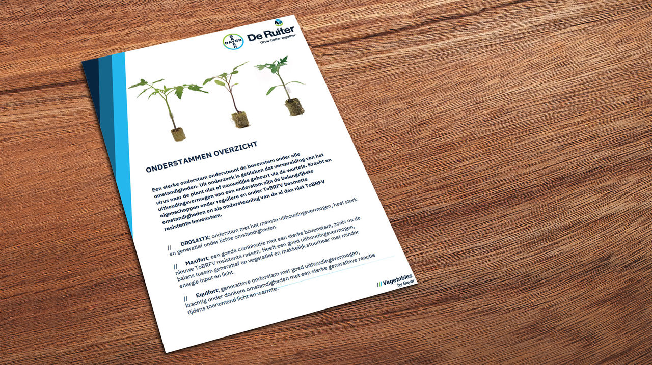 onderstammen leaflet