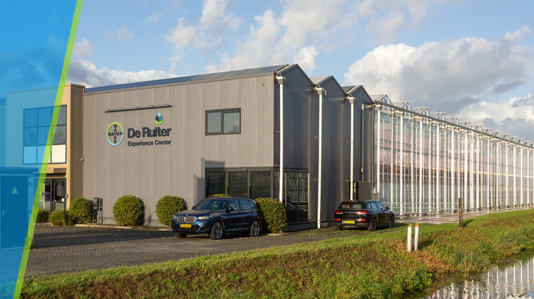 De Ruiter Experience Centre glasshouse