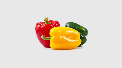 Virtual tour DEC 2022