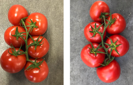 Links: goede kronen Rechts: slechte kwaliteit kroontjes.