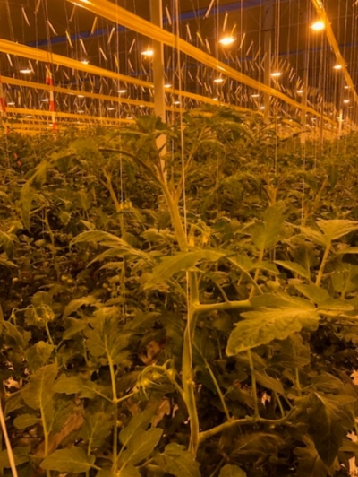 Foto: de kwaliteit is meer dan uitstekend.