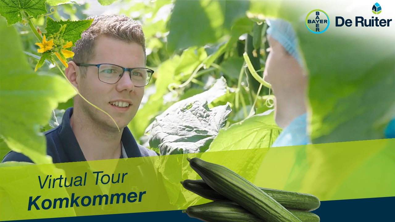 Virtual tour DEC 2022