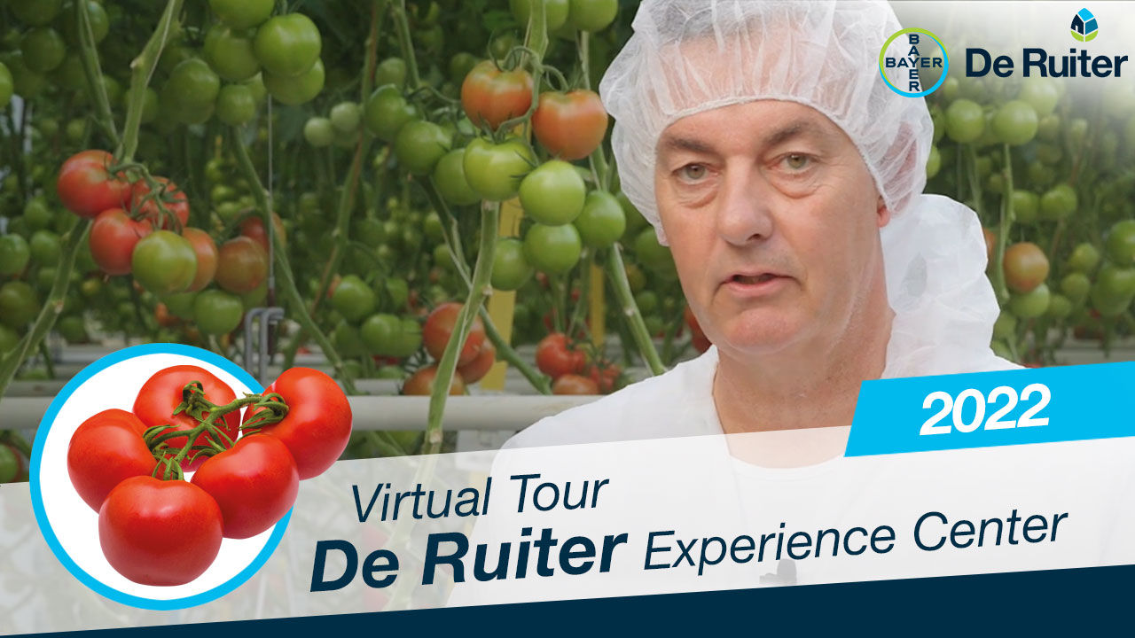 Virtual tour DEC 2022