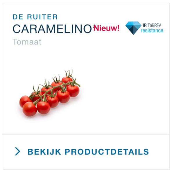 Strabini product details