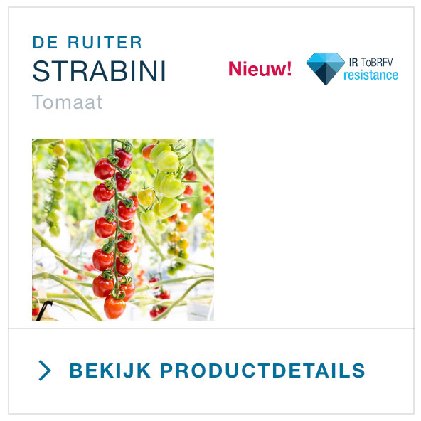 Strabini product details