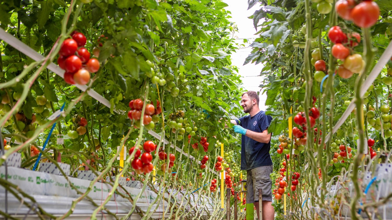 Seminis: kracht in open veld