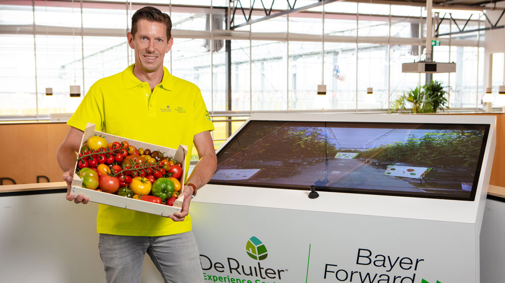 Paul Zantman (BraZander)