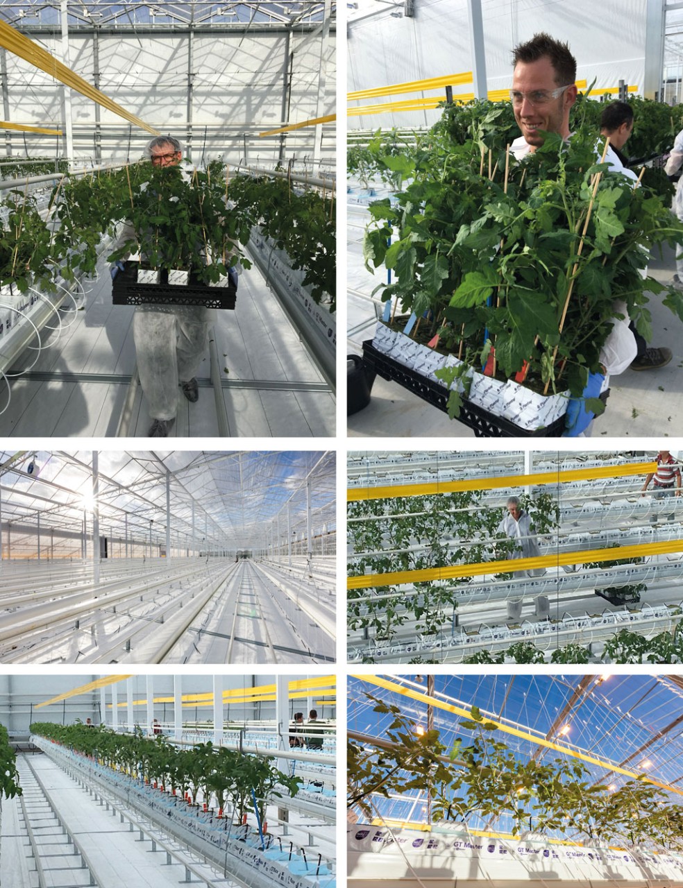 De volgende mijlpaal: planten