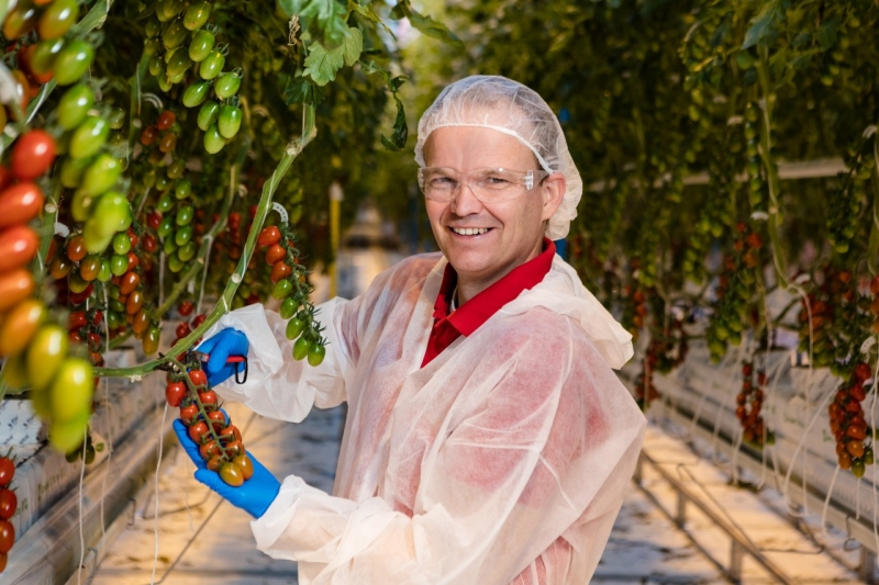 Franky van Looveren oogst de eerste tros van succesras Delisher.
