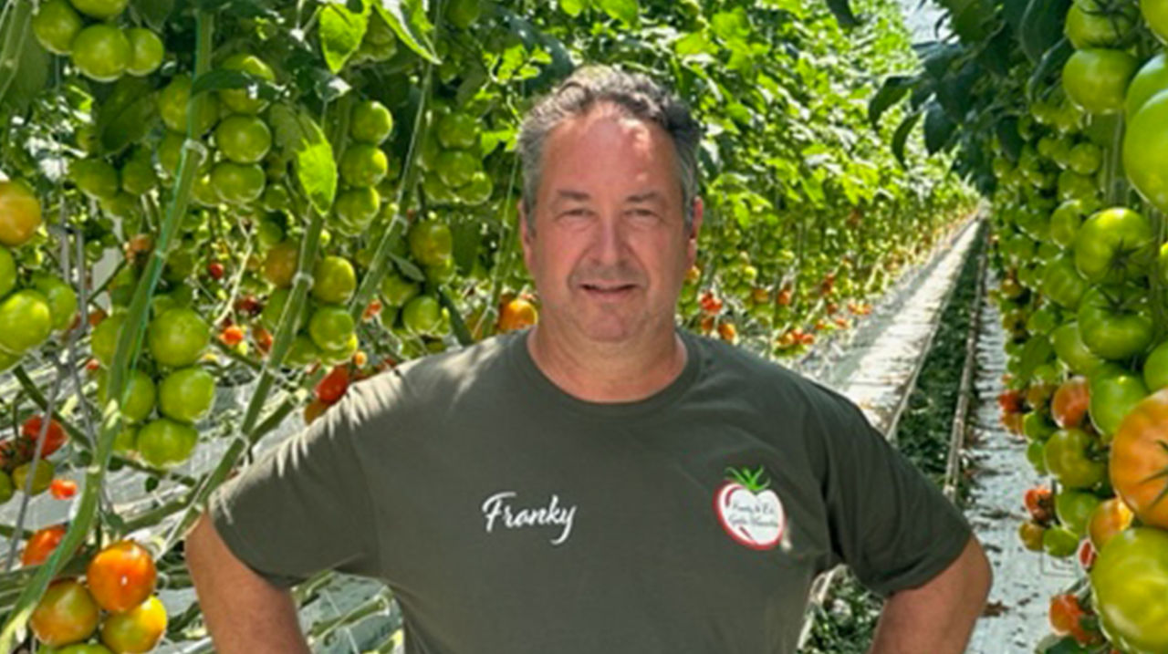 Franky Galle van tomatenkwekerij Gabel bvba 