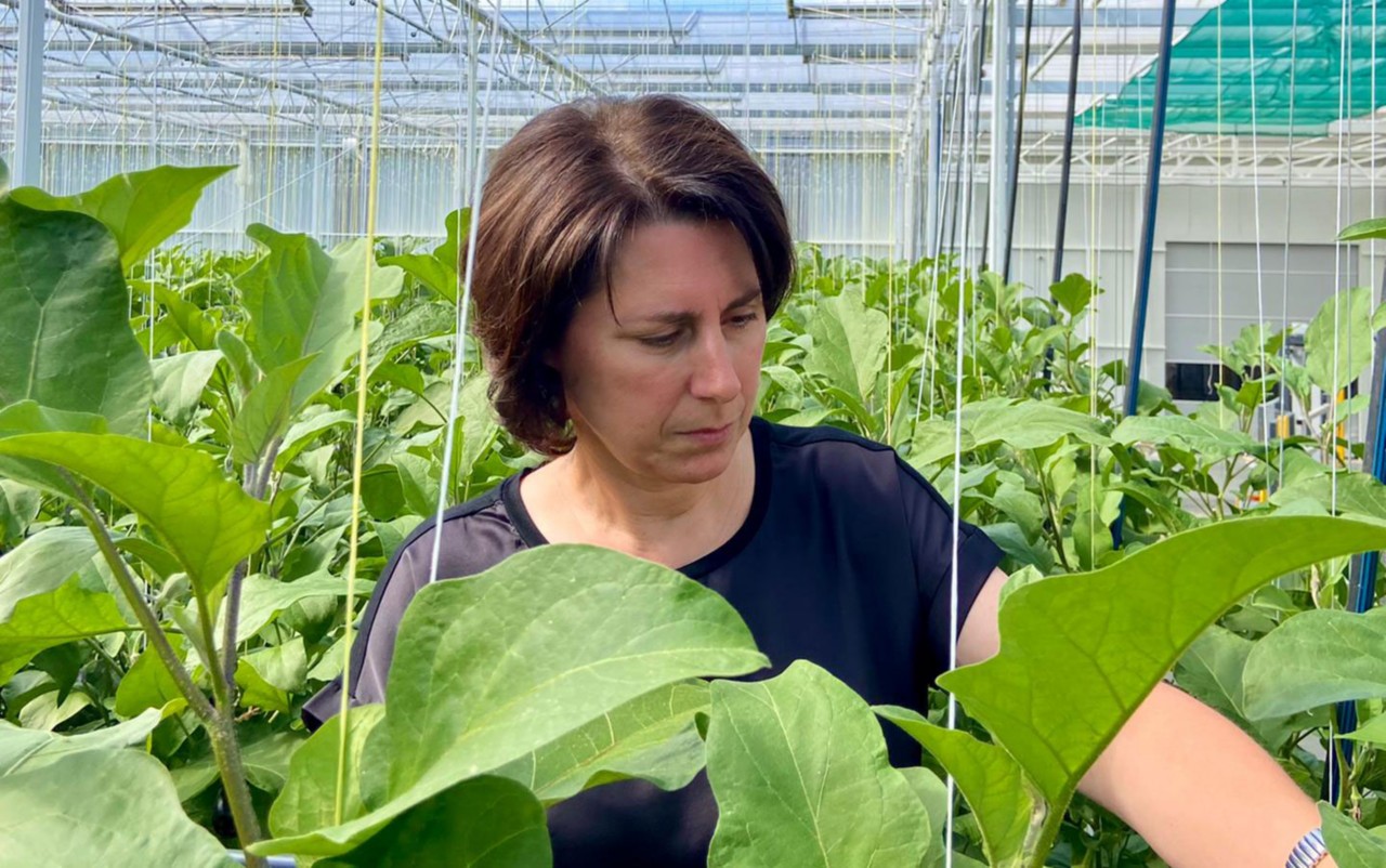 Anja Van Nuffelen, zaakvoerder