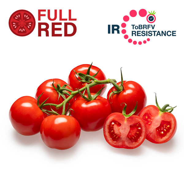 Marisara details page