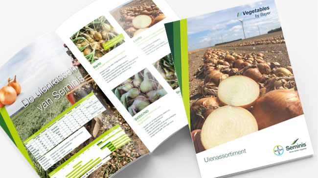 Uien brochure