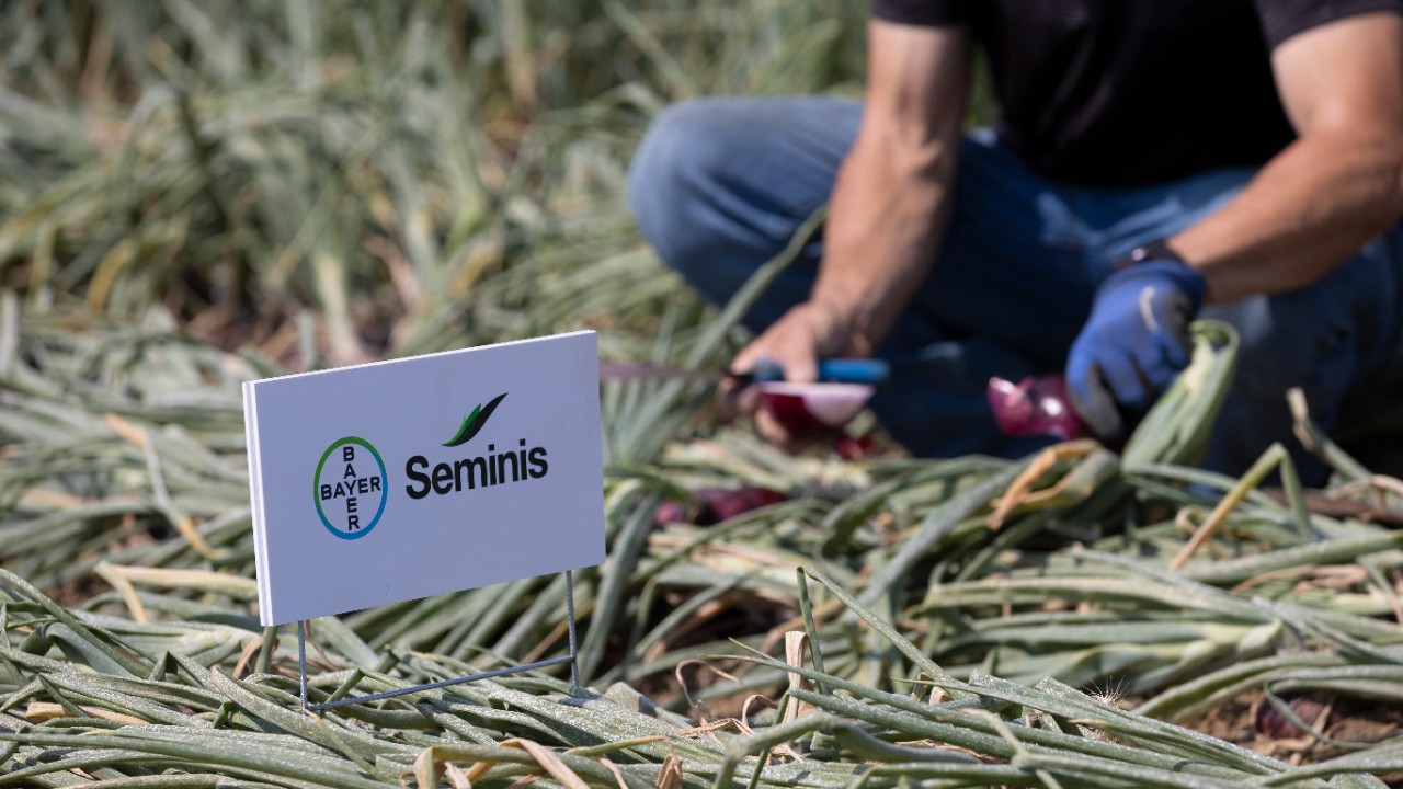 Seminis