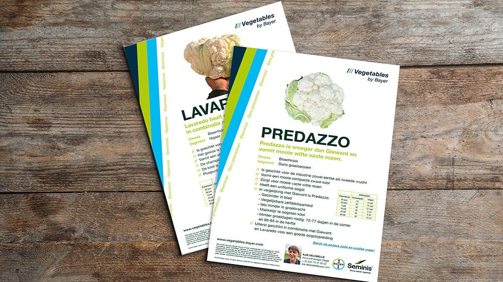 Leaflets Predazzo en Lavaredo