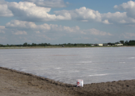 Figure 1. Polyethylene tarp covering a fumigated field.