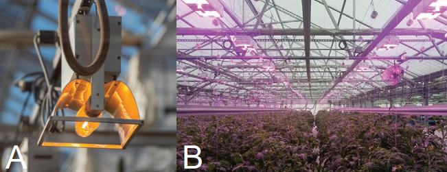 Figure 1. Greenhouse lighting options: (A) high pressure sodium (HPS), (B) light emitting diode (LED). Photo (B) courtesy LumiGrow Inc.
