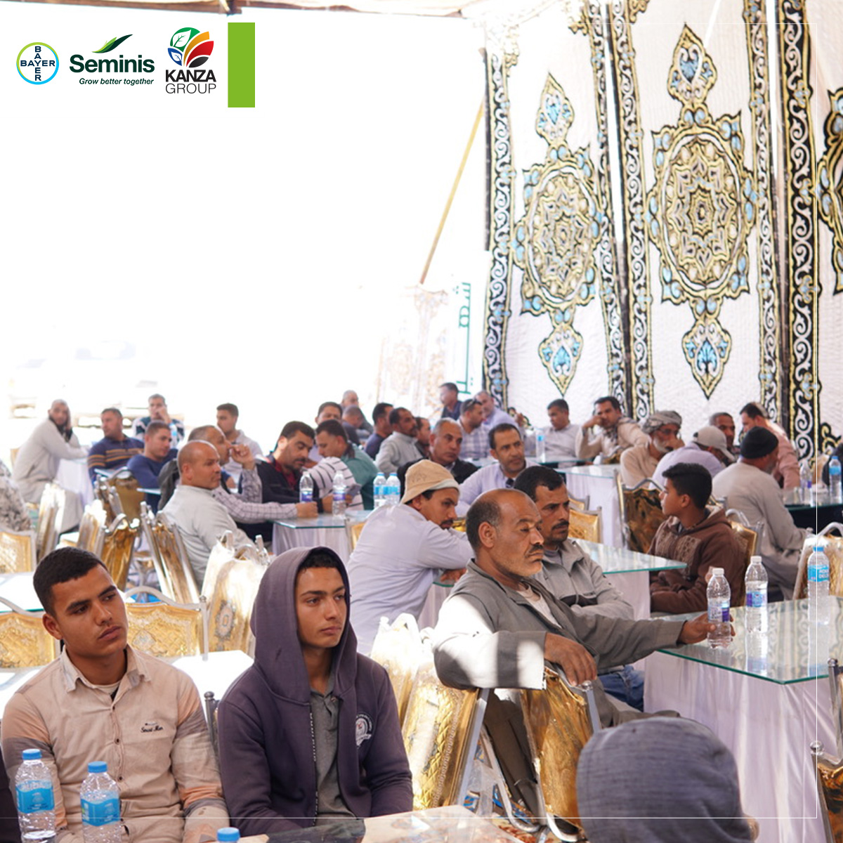 يوم حقلي مُميز لصنف خيار شهير