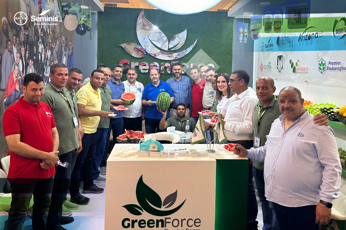 يوم حقلي مُميز لصنف خيار شهير