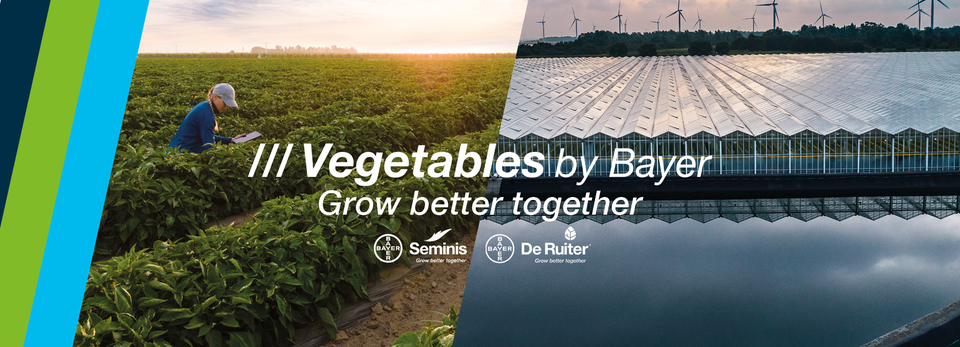 volg ons op facebook