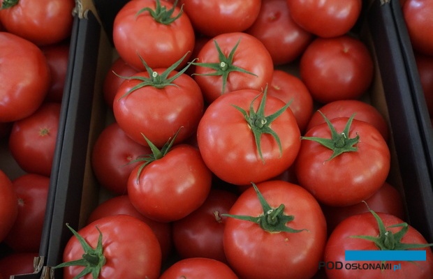 Pomidor malinowy Yarimaru