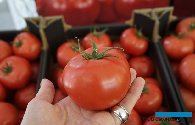 Pomidor malinowy Yarimaru