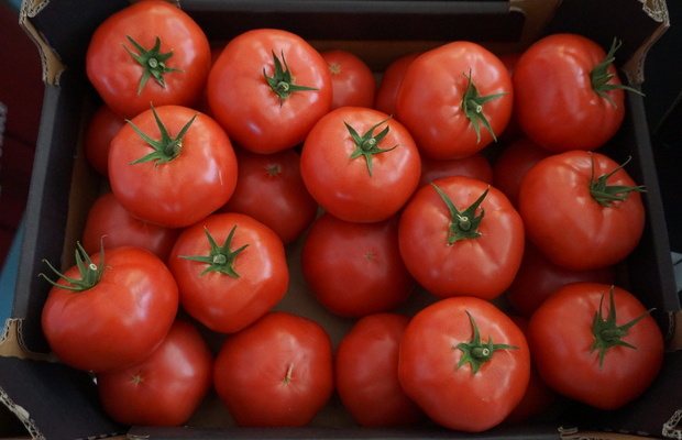 Pomidor malinowy Hakumaru