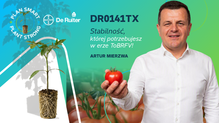 podkladka