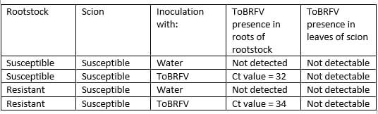 TRS Article - Hortidaily table