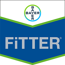 Zapoznaj się ze środkami ochrony brokuła od Bayer