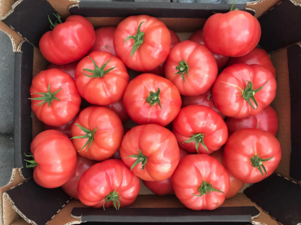 Fot. Pierwsze owoce Fujimaru (28 marca 2019)