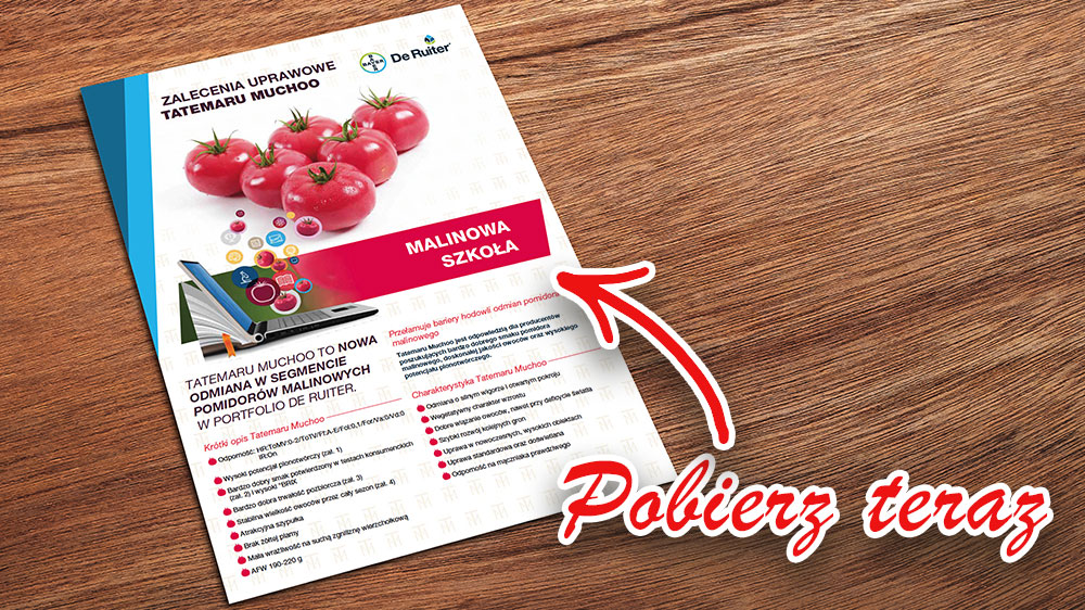 Ulotka Tatemaru muchoo