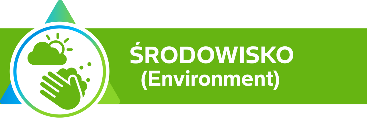 środowisko